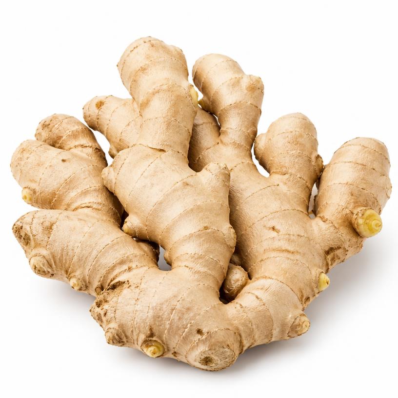 Organic Fresh Ginger